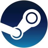 Steam SAR 100